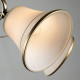 Люстра на штанге Arte Lamp Blossom 5 ламп A2709PL-5AB