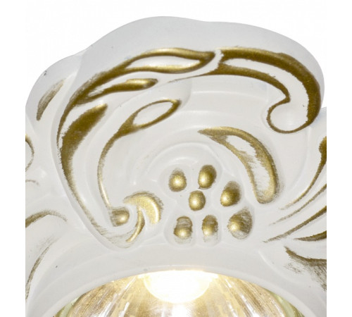 Встраиваемый светильник Arte Lamp Occhio A5285PL-1SG
