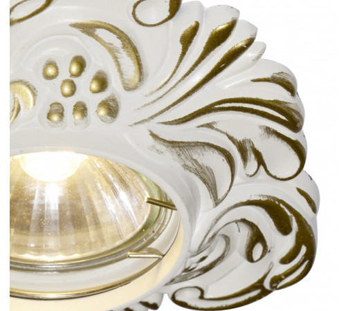 Встраиваемый светильник Arte Lamp Occhio A5285PL-1SG