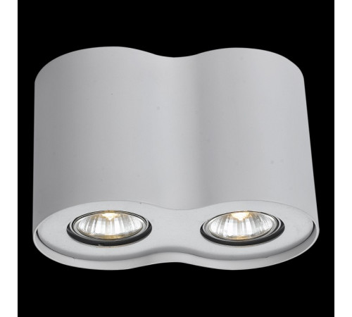 Накладной светильник Arte Lamp Falcon A5633PL-2WH