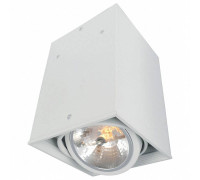 Накладной светильник Arte Lamp Cardani A5936PL-1WH
