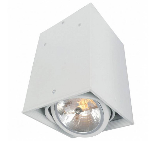 Накладной светильник Arte Lamp Cardani A5936PL-1WH