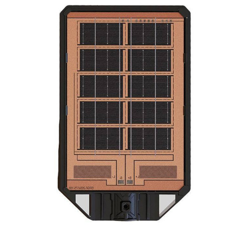 Светильник консольный Arte Lamp Avior A9100AL-1BK