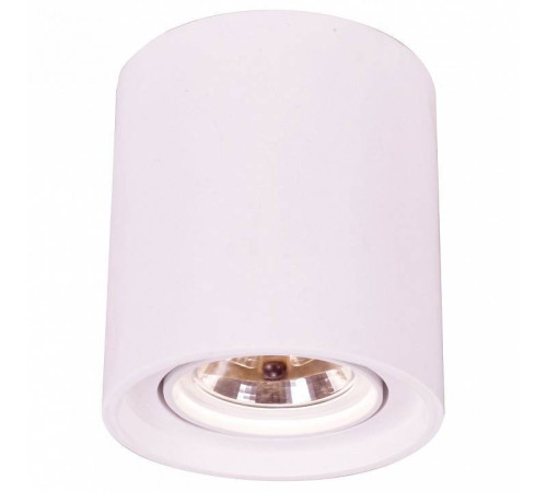 Накладной светильник Arte Lamp Tubo A9262PL-1WH