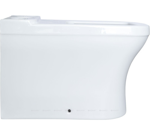 Чаша для унитаза напольного Allen Brau INFINITY 2 Rimless без сиденья 4.21012.20