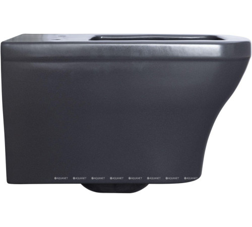 Унитаз подвесной Allen Brau INFINITY 2 Rimless без сиденья 535x340 мм 4.21011.AN