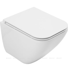 Унитаз подвесной Allen Brau Liberty 3 Tornado без сиденья 490х360 мм 4.33012.20