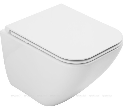 Унитаз подвесной Allen Brau Liberty 3 Tornado без сиденья 490х360 мм 4.33012.20