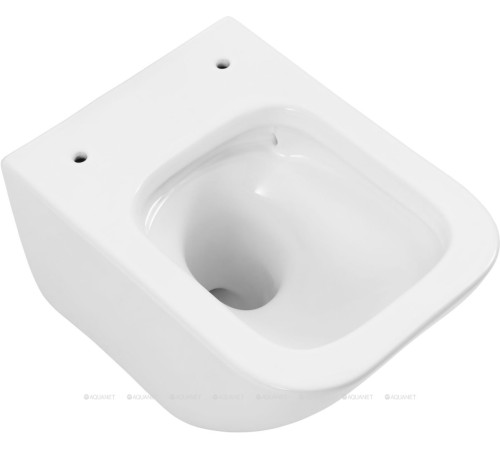 Унитаз подвесной Allen Brau Liberty 3 Tornado без сиденья 490х360 мм 4.33012.20