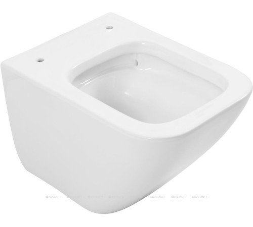 Унитаз подвесной Allen Brau Liberty 3 Tornado без сиденья 490х360 мм 4.33012.20