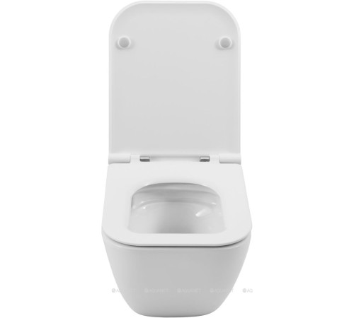 Унитаз подвесной Allen Brau Liberty 3 Tornado без сиденья 490х360 мм 4.33012.20