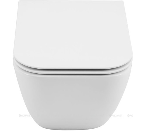 Унитаз подвесной Allen Brau Liberty 3 Tornado без сиденья 490х360 мм 4.33012.20