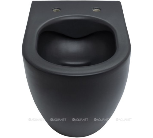 Унитаз подвесной Allen Brau Reality Rimless без сиденья 530x365 мм черный 4.32006.31