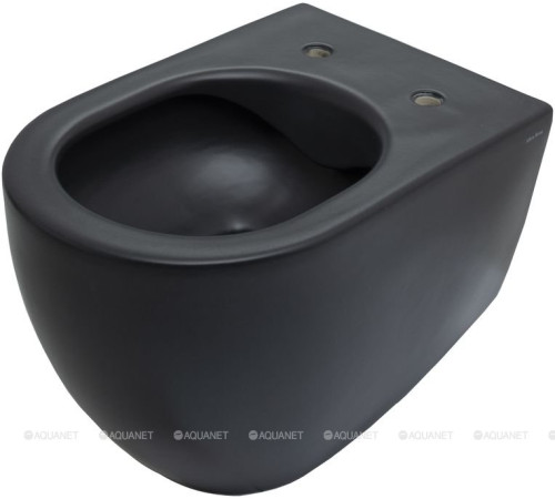 Унитаз подвесной Allen Brau Reality Rimless без сиденья 530x365 мм черный 4.32006.31