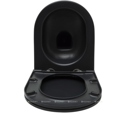 Унитаз подвесной Allen Brau Reality Rimless без сиденья 530x365 мм черный 4.32006.31