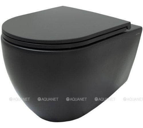 Унитаз подвесной Allen Brau Reality Rimless без сиденья 530x365 мм черный 4.32006.31