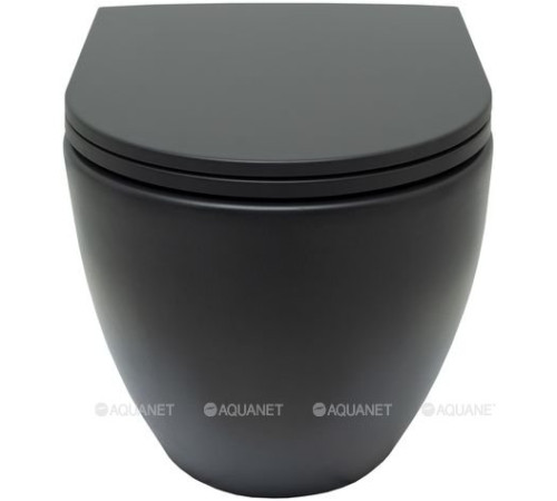 Унитаз подвесной Allen Brau Reality Rimless без сиденья 530x365 мм черный 4.32006.31