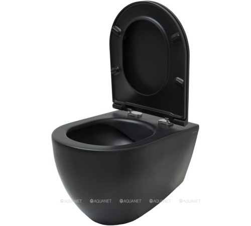 Унитаз подвесной Allen Brau Reality Rimless без сиденья 530x365 мм черный 4.32006.31