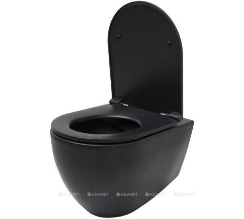 Унитаз подвесной Allen Brau Reality Rimless без сиденья 530x365 мм черный 4.32006.31