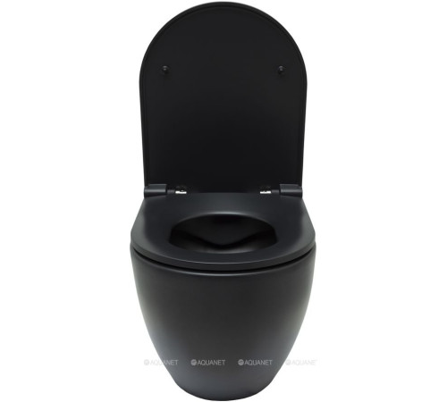 Унитаз подвесной Allen Brau Reality Rimless без сиденья 530x365 мм черный 4.32006.31