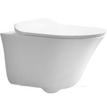 Унитаз подвесной Jacob Delafon VIVE 557х364 мм без сиденья E28078RU-0