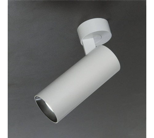 Спот Citilux Тубус CL01B120N