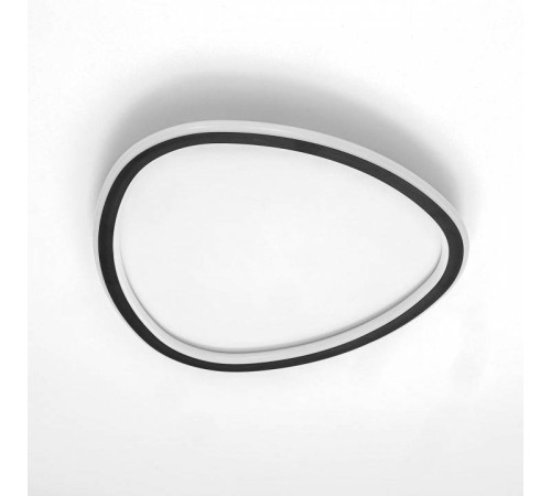 Накладной светильник Citilux ТRIO CL215B241E