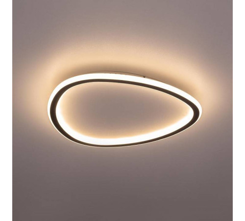 Накладной светильник Citilux ТRIO CL215B241E