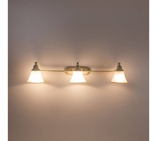 Спот Citilux Прованс CL511534