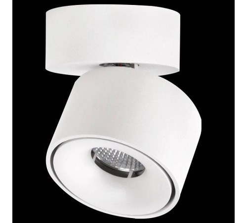 Спот Citilux Стамп CL558010N