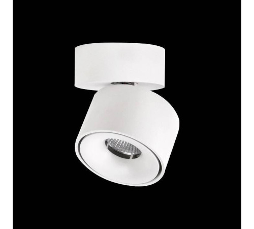 Спот Citilux Стамп CL558010N