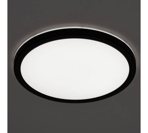 Накладной светильник Citilux Бейсик Лайн CL738241VL