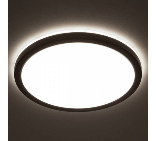 Накладной светильник Citilux Бейсик Лайн CL738241VL