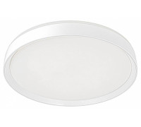 Накладной светильник Citilux BOSS CL751450G