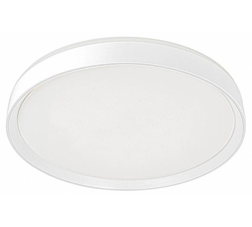 Накладной светильник Citilux BOSS CL751450G