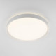 Накладной светильник Citilux BOSS CL751450G