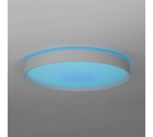Накладной светильник Citilux BOSS CL751450G