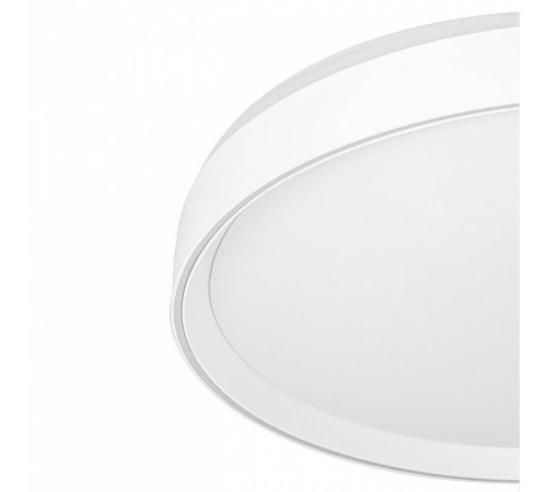 Накладной светильник Citilux BOSS CL751450G