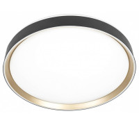 Накладной светильник Citilux BOSS CL751451G