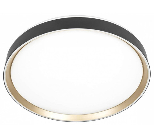 Накладной светильник Citilux BOSS CL751451G