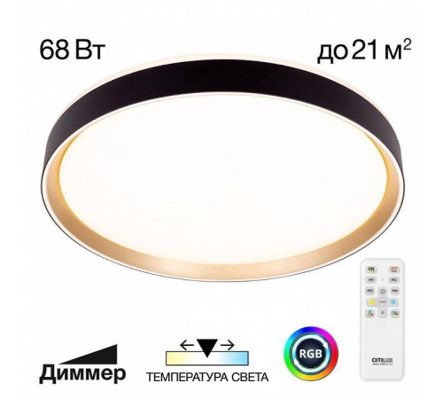 Накладной светильник Citilux BOSS CL751451G