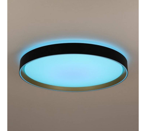 Накладной светильник Citilux BOSS CL751451G