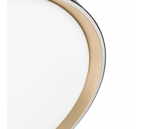 Накладной светильник Citilux BOSS CL751451G