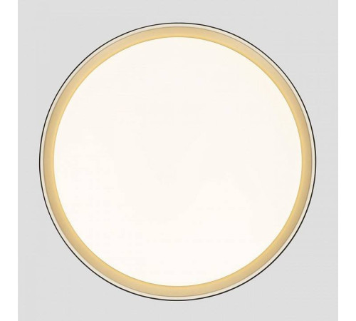 Накладной светильник Citilux BOSS CL751451G