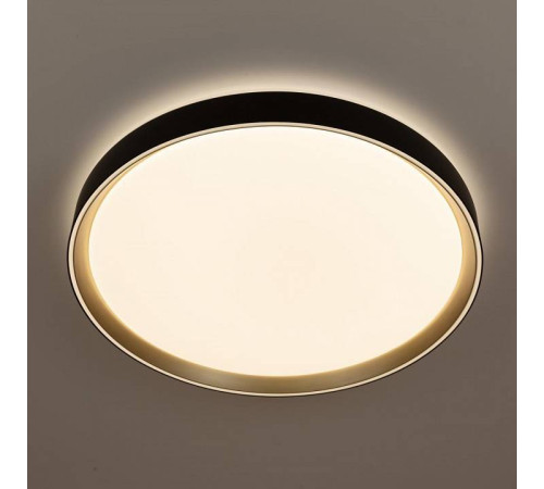 Накладной светильник Citilux BOSS CL751451G