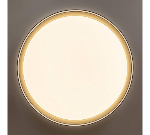 Накладной светильник Citilux BOSS CL751451G