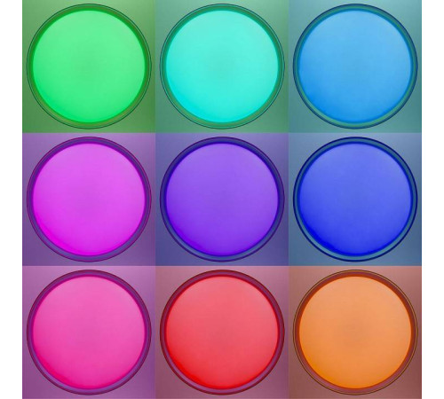 Накладной светильник Citilux BOSS CL751451G