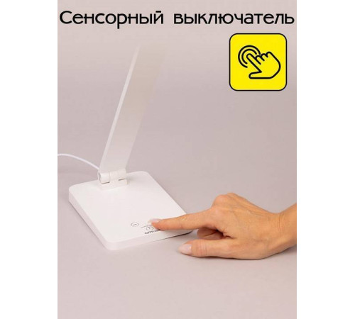 Настольная лампа офисная Citilux Ньютон CL803080