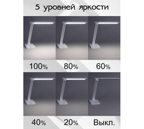 Настольная лампа офисная Citilux Ньютон CL803080