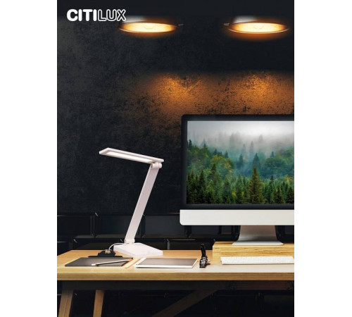 Настольная лампа офисная Citilux Ньютон CL803080